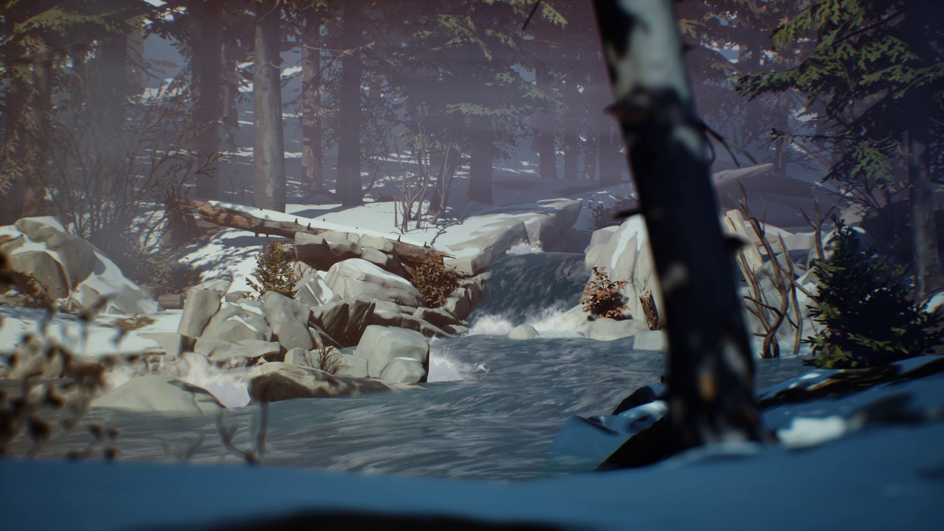 Life is Strange 2 - Episodio 2